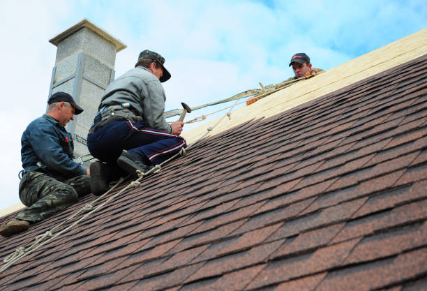 Best Roof Maintenance Services  in Fox Island, WA